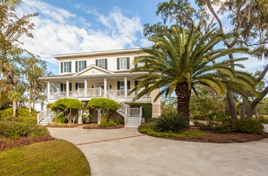house with palm treets